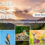 Discover India's Wildlife