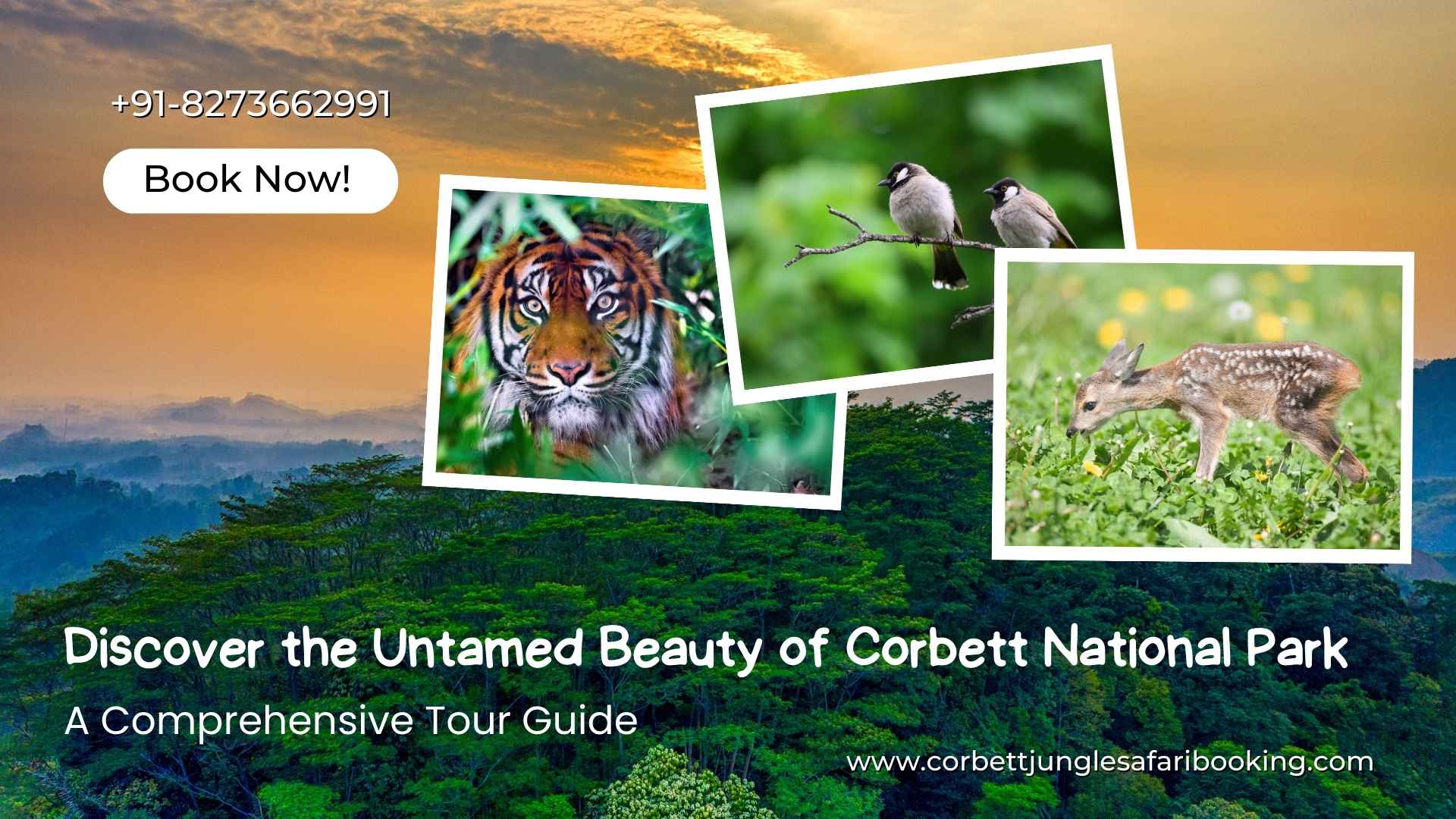 Discover the Untamed Beauty of Corbett National Park