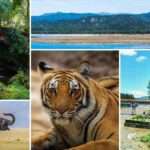 Places To See In Corbett