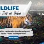 Wildlife Safari Tour in India