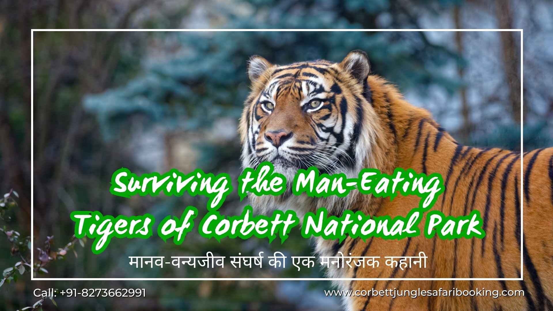 Surviving the Man-Eating Tigers of Corbett National Park